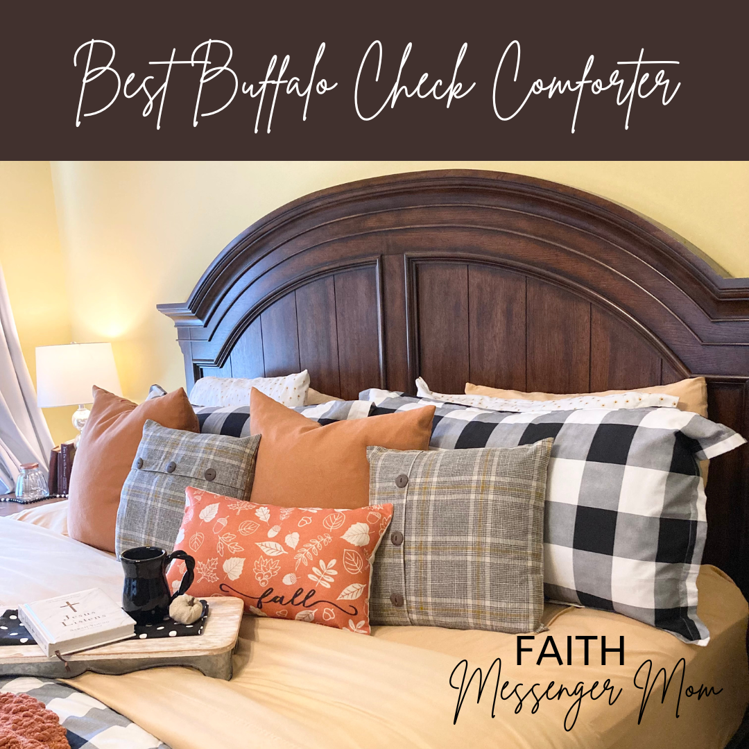 THE BEST BUFFALO CHECK COMFORTER At A BARGAIN