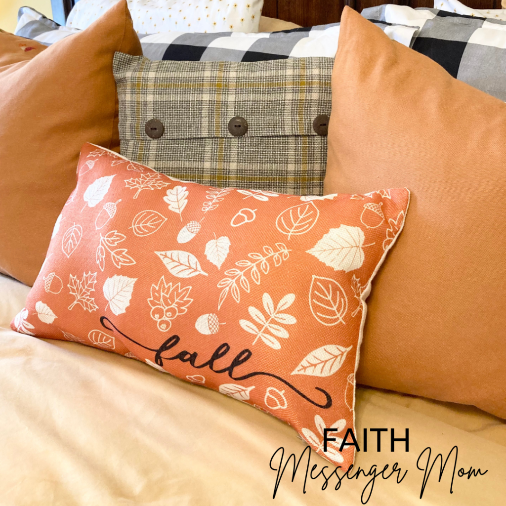 Fall pillow in front of other pillows.