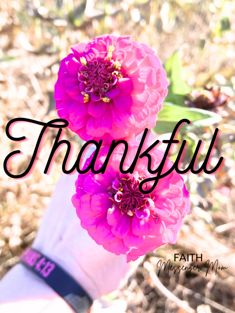 2 pink zinnia flowers with the work Thankful written in black and pink across the middle.