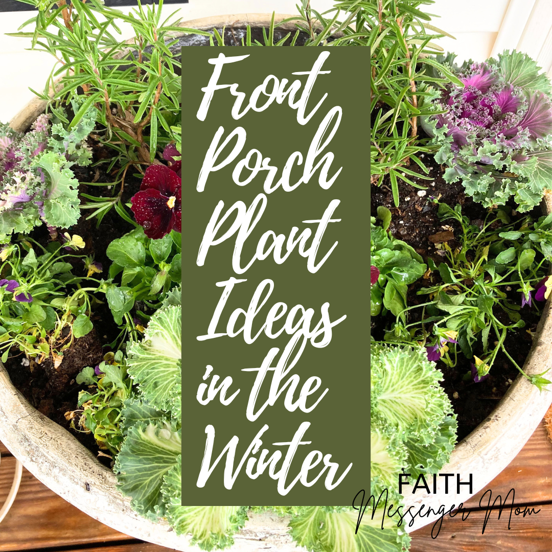 Best Front Porch Plant Ideas in the Winter